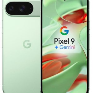 Google Pixel 9 5G 12/256GB Winter Green